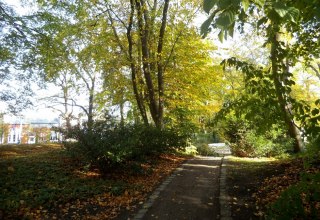 Der Kurpark im Ostseebad Binz., © Tourismuszentrale Rügen Der Kurpark im Ostseebad Binz., © Tourismuszentrale Rügen