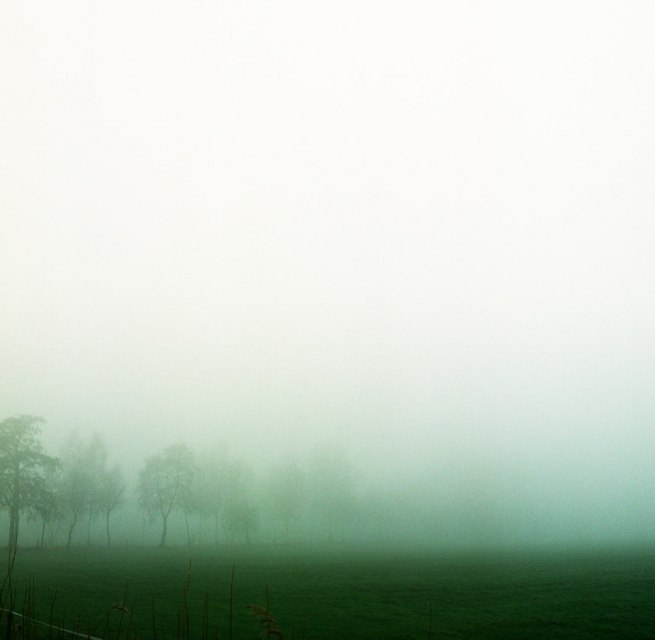 2024, Fotografie // &copy; Juliane Vowinckel