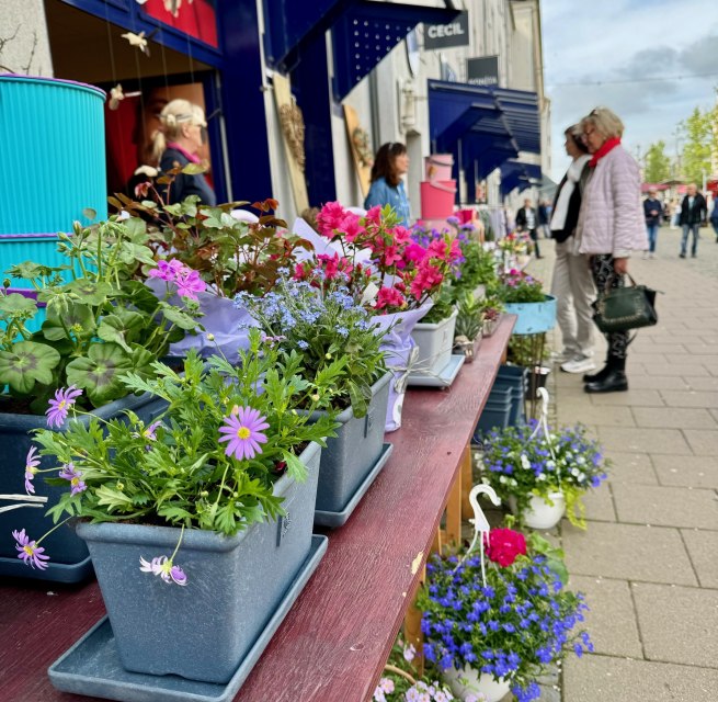 &copy; &copy; Die Stadtmagneten e. V.