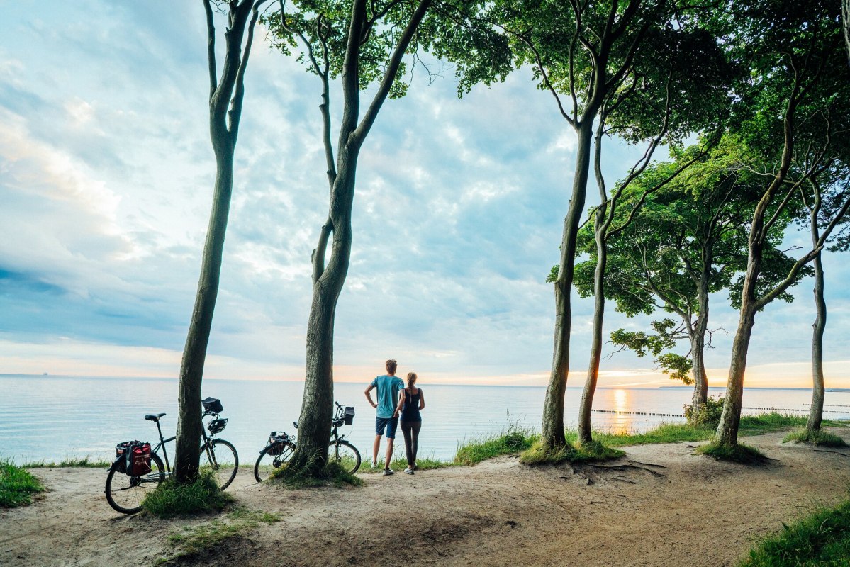 Der Nienhägener Gespensterwald liegt direkt an der Ostseeküste // © TMV/Gänsicke Der Nienhägener Gespensterwald liegt direkt an der Ostseeküste // © TMV/Gänsicke