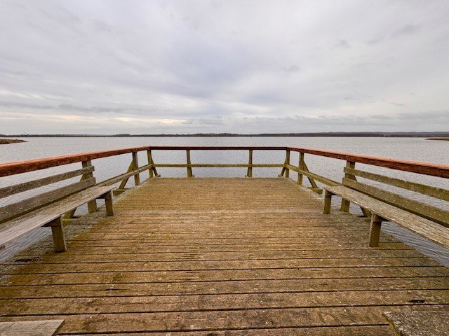 Aussichtsplattform Fleethof, © Staatliches Amt für Landwirtschaft und Umwelt Vorpommern Aussichtsplattform Fleethof, © Staatliches Amt für Landwirtschaft und Umwelt Vorpommern