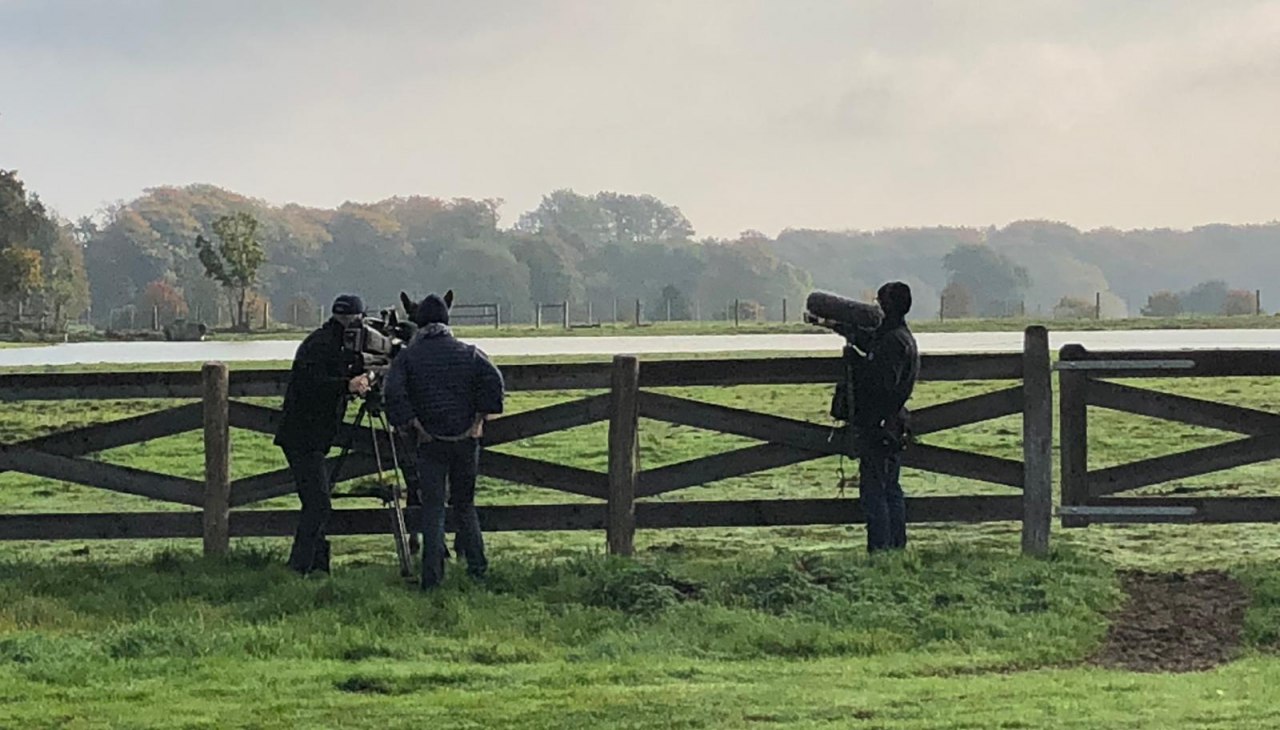 Auch am Tage ein guter Standort zur Naturbeobachtung., © Mecklenburger ParkLand Auch am Tage ein guter Standort zur Naturbeobachtung., © Mecklenburger ParkLand