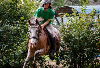 Te paard en over het terrein - geen probleem bij de rij- en menclub Strameuß // © Reit- und Fahrverein Strameuß Te paard en over het terrein - geen probleem bij de rij- en menclub Strameuß // © Reit- und Fahrverein Strameuß