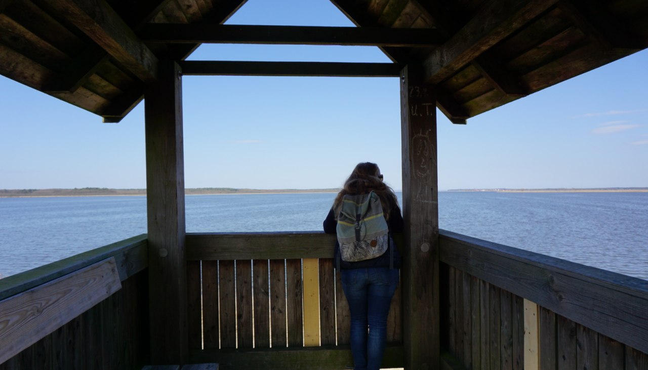 Aussichtsturm am Neuwarper See, © tvv-bock