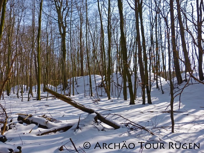 Blick auf den schneebedeckten Schlossberg der Wallanlage Sassnitz, © Archäo Tour Rügen Blick auf den schneebedeckten Schlossberg der Wallanlage Sassnitz, © Archäo Tour Rügen