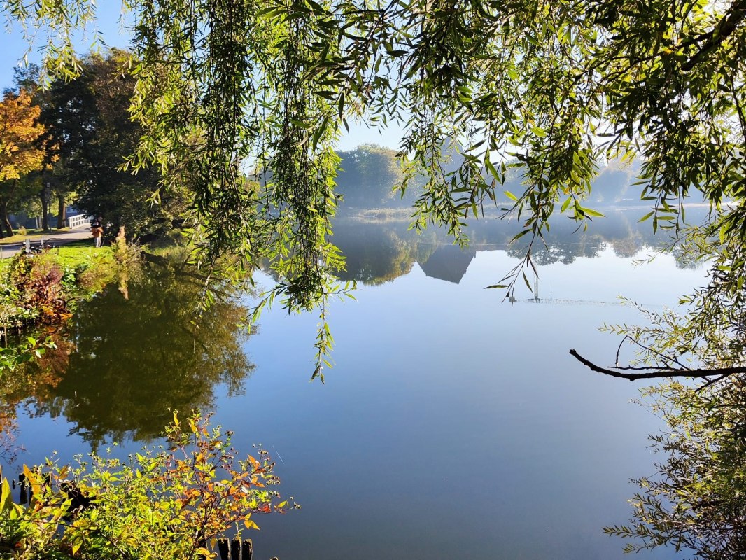 Herbststimmung in den Stralsunder Wallanlagen // &copy; Barbara Hesse