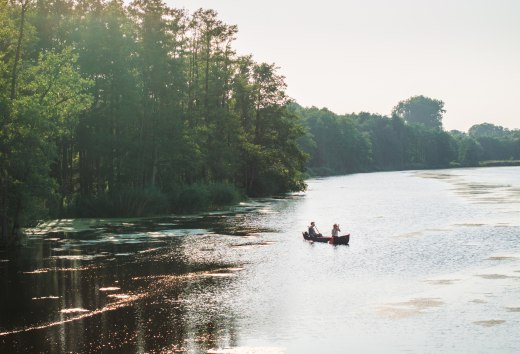 Zwei Personen paddeln in einem Kanu auf der Peene, umgeben von &uuml;ppiger Natur und sonnendurchflutetem Wasser.