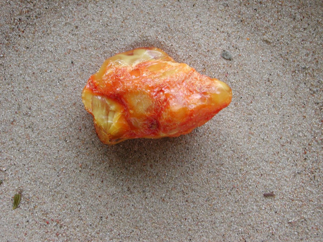 Bernsteinschleifen mit dem Bernsteinexperten Thomas Reich, © dscn8767 Bernsteinschleifen mit dem Bernsteinexperten Thomas Reich, © dscn8767