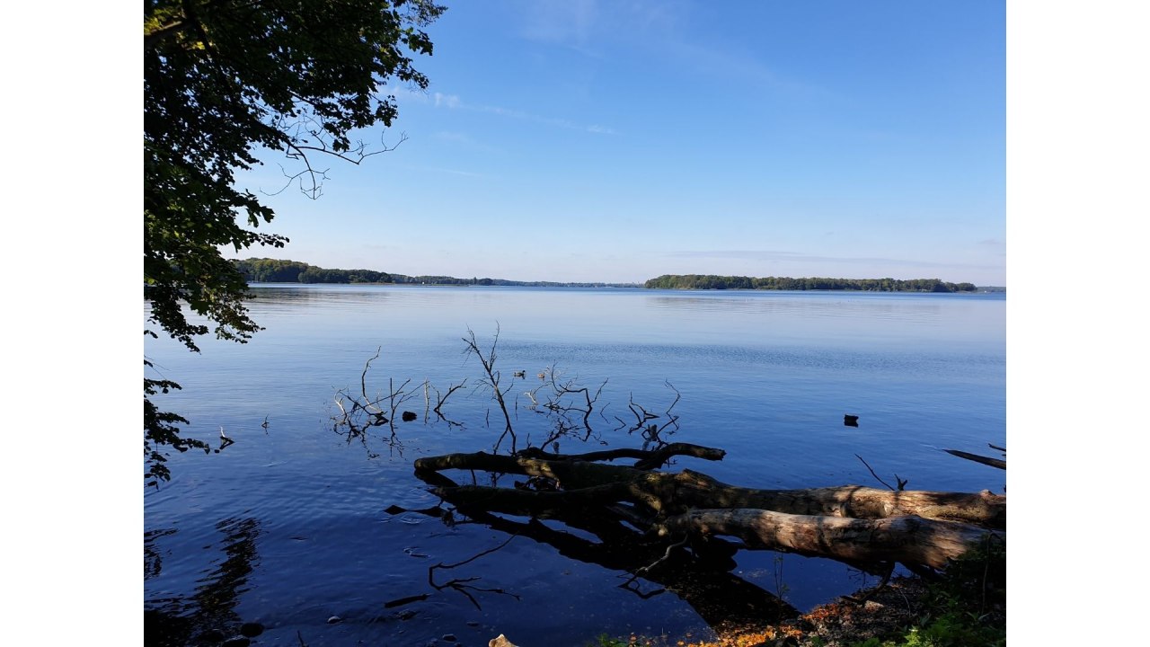 Schweriner Außensee // © Geertje Schumann Schweriner Außensee // © Geertje Schumann