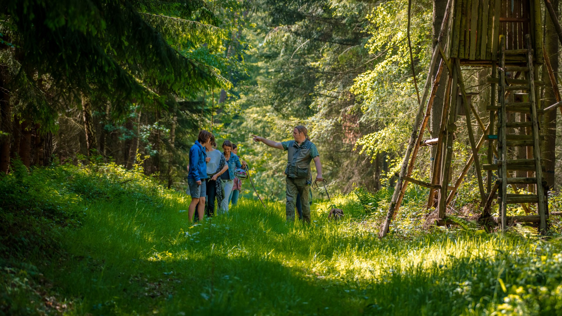 F&uuml;nf Personen wandern auf einem Weg durch den Wald mit hohem Grass.