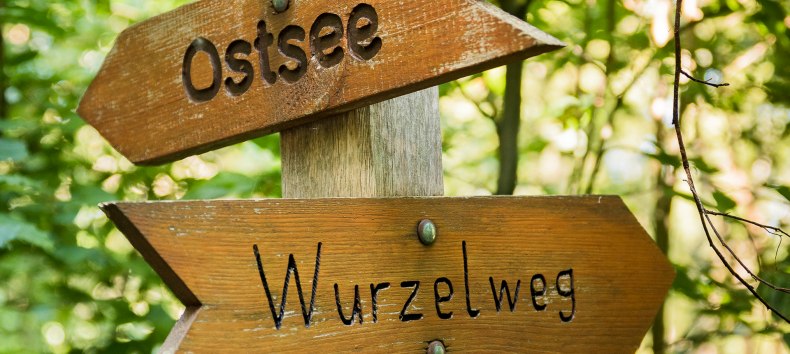 Natur pur, &copy; Andr&eacute; Pristaff / Tourismus- und Kur GmbH Graal-M&uuml;ritz