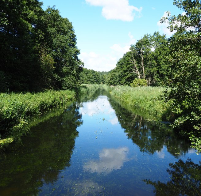 Warnow bei Kaarz // © Naturpark Sternberger Seenland; Volker Brandt Warnow bei Kaarz // © Naturpark Sternberger Seenland; Volker Brandt