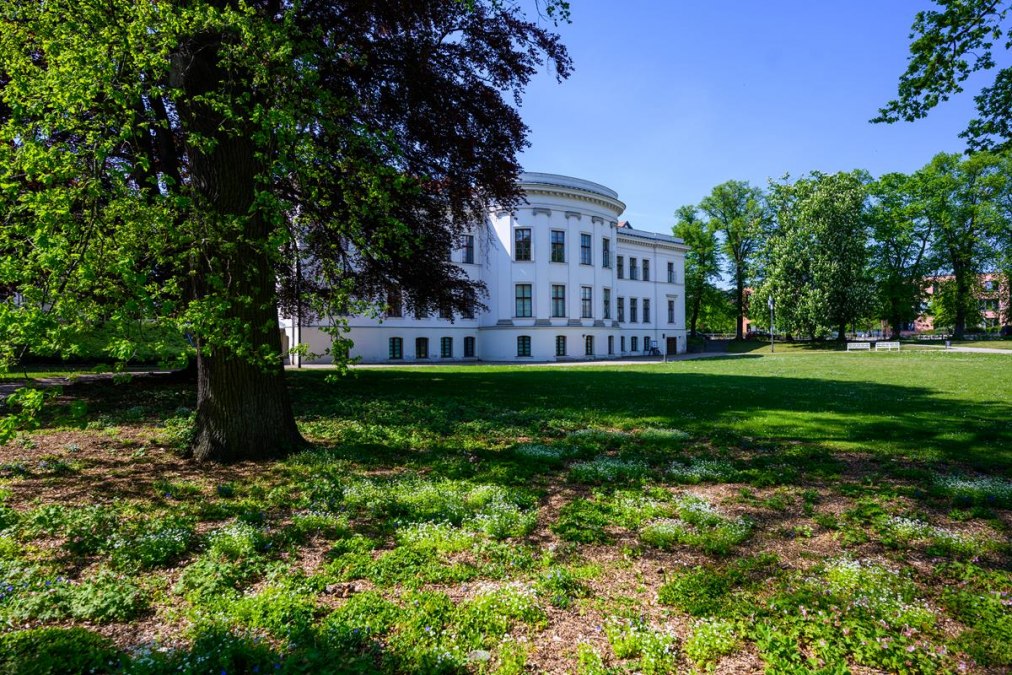 MZ7_3271 (Copy), © TI