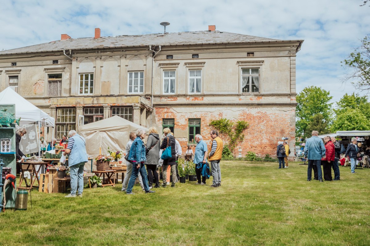 Parkansicht auf das Herrenhaus // © Sönke Gill Parkansicht auf das Herrenhaus // © Sönke Gill