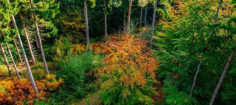 © Binzer Bucht Tourismus © Binzer Bucht Tourismus