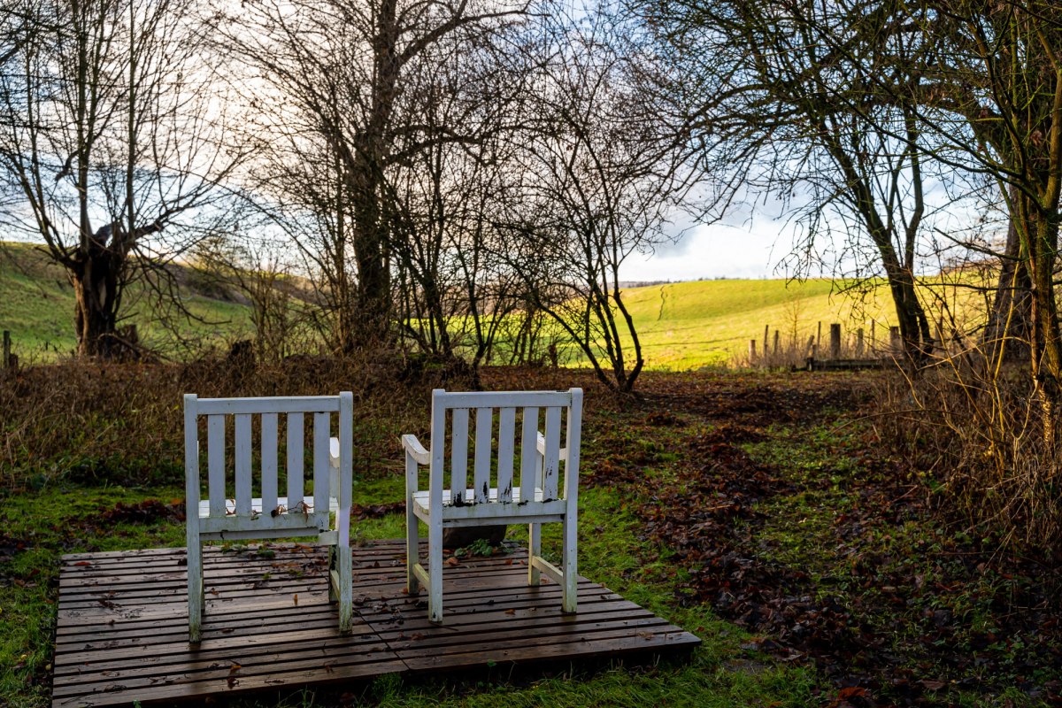 Schöner Ausblick im Garten des Gutshauses // © DOMUSImages Schöner Ausblick im Garten des Gutshauses // © DOMUSImages