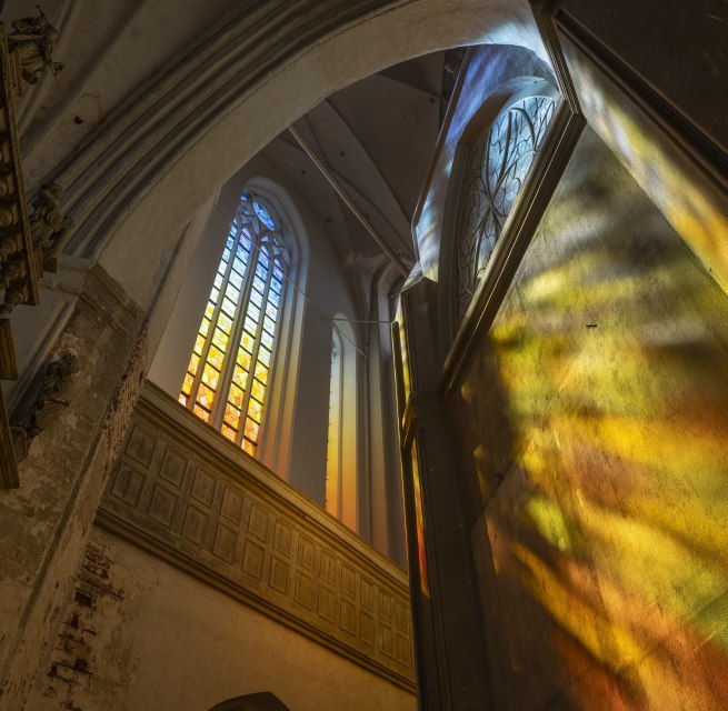 &copy; Greifswalder Bachwoche