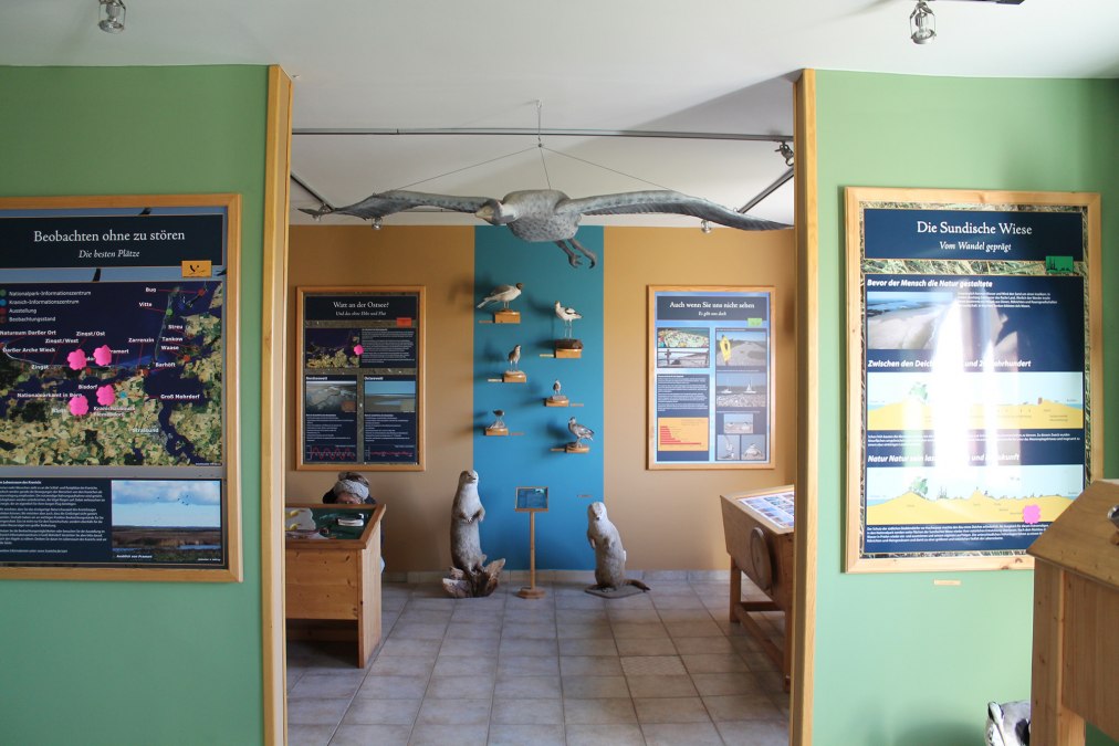 Nationalparkausstellung Sundische Wiese, © Nationalparkamt Vorpommern Nationalparkausstellung Sundische Wiese, © Nationalparkamt Vorpommern