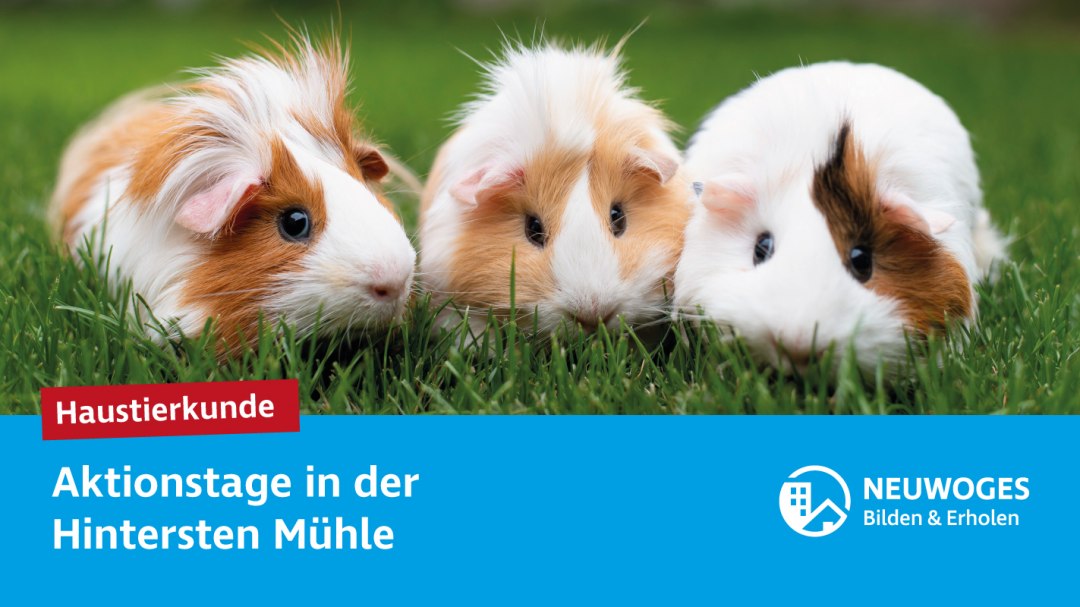 neuw-konzern_externe-komm_tierheim_aktionstage-24-haustierkunde_1, © Neuwoges