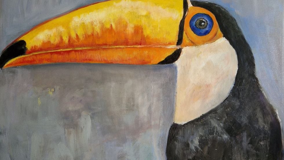 Tukan, &copy; Caroline von Heydebreck