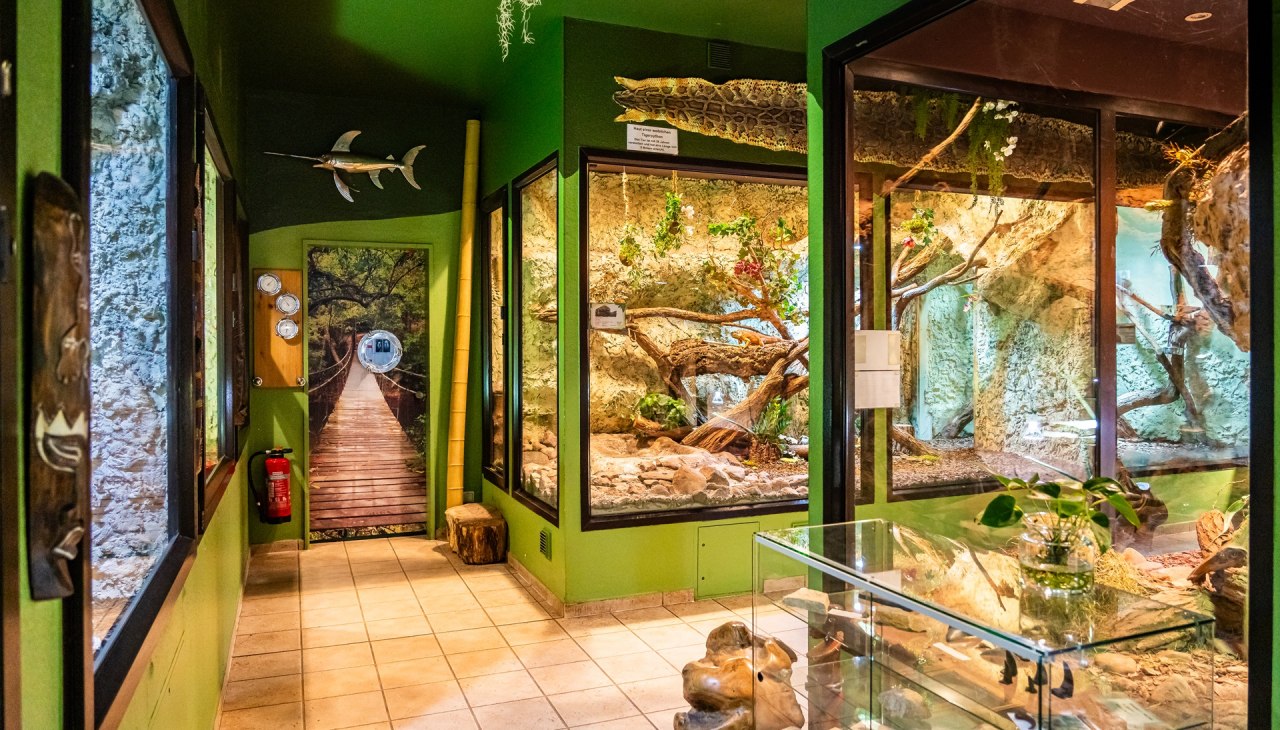 Tropenhaus_Bansin_CopyR_Marcel_Piper (28), © Tropenzoo_Bansin_Marcel_Piper Tropenhaus_Bansin_CopyR_Marcel_Piper (28), © Tropenzoo_Bansin_Marcel_Piper