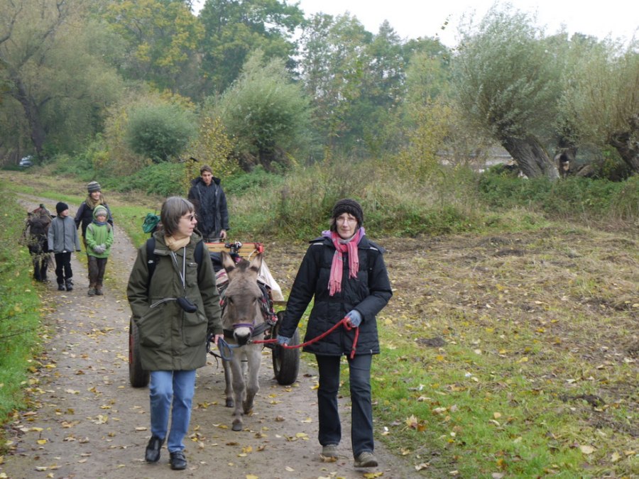 Unsere Tiere gehen gern spazieren, auch im Winter, © Gerhard Mersch Unsere Tiere gehen gern spazieren, auch im Winter, © Gerhard Mersch