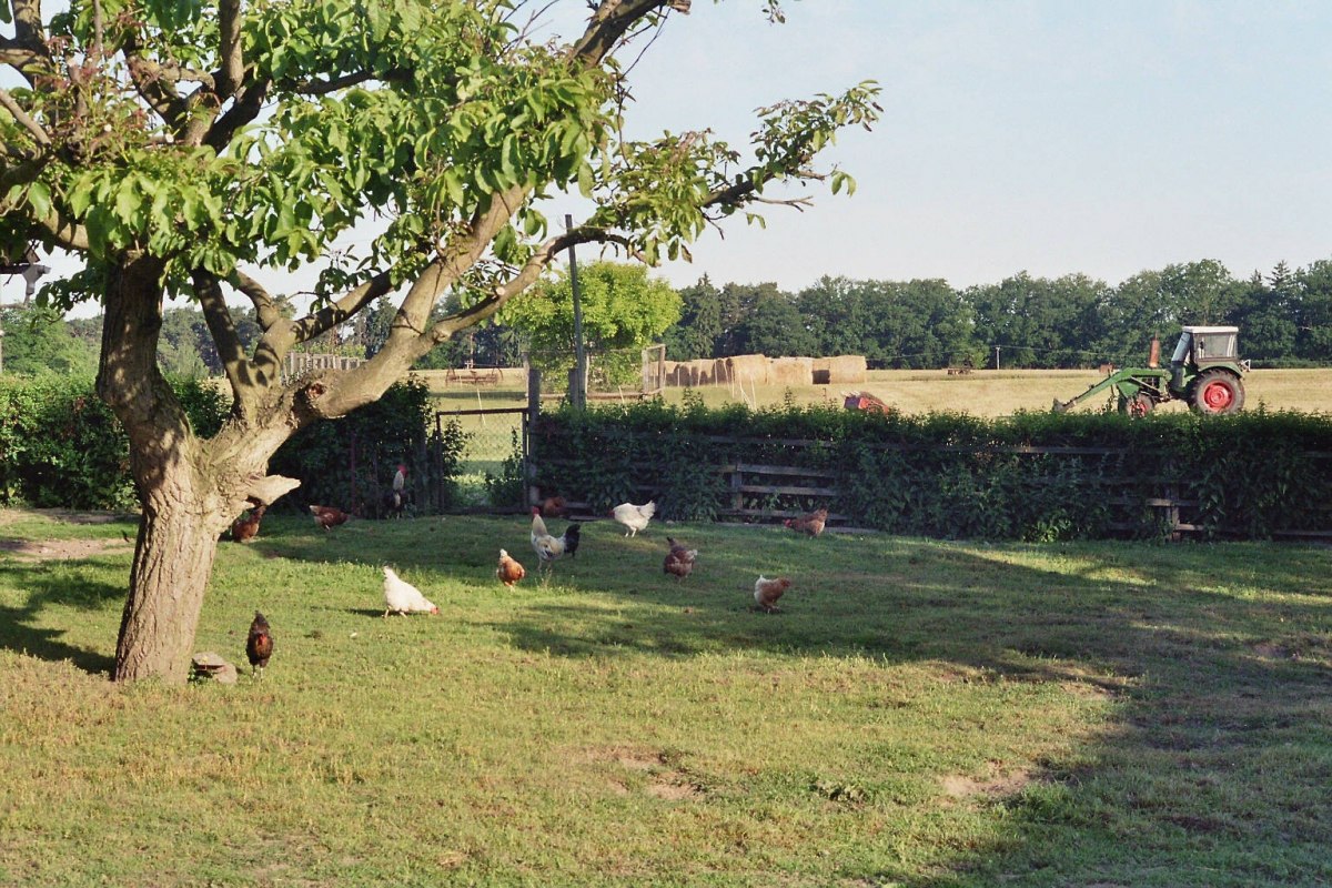 &copy; Bernd Friedrich