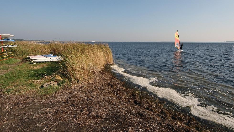 Vitter Bodden, &copy; surflocal.de