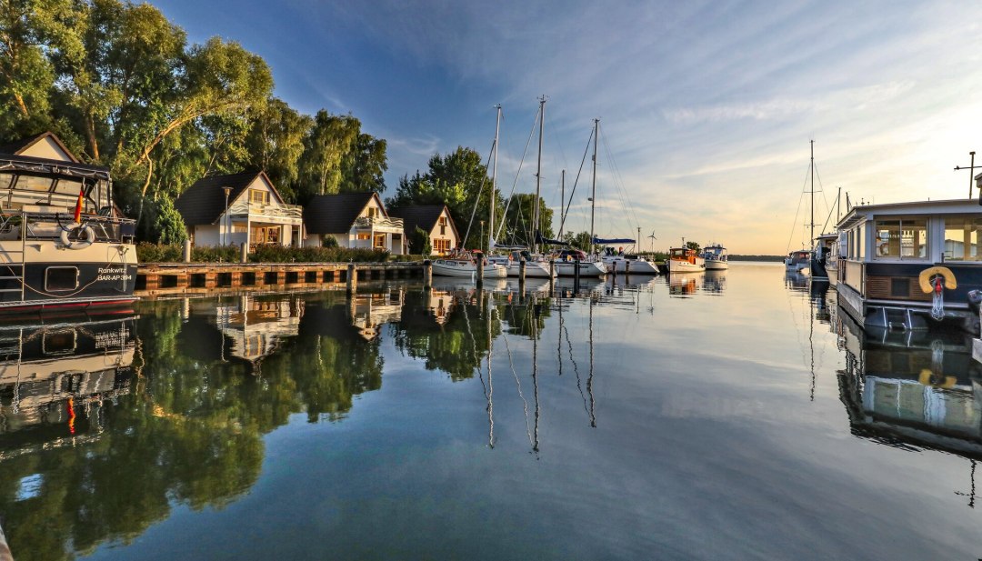 Blick auf das Ufer des Peenestroms am Hafen Rankwitz // &copy; MV-T/Werk 3
