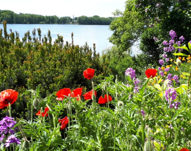 ein Garten am See // © adfc-Schwerin ein Garten am See // © adfc-Schwerin