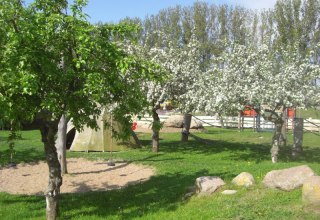 Fr&uuml;hling auf dem Eselhof // &copy; Eselhof Schlage