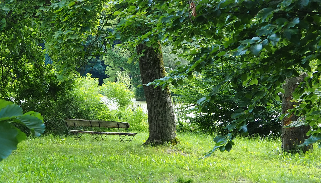 Im Schlosspark Semlow, © Tourismusverein VR/Manuela Steimle