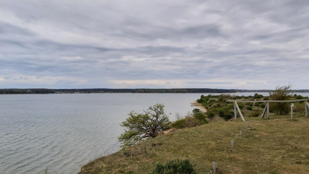 Devin, © TZ HST / Kredl