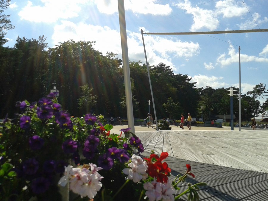 Konzert mit "Horch", &copy; Kurb&uuml;hne mit Blumen