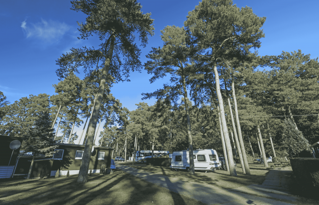 Wohnwagenstellplatz, © TMV/Gohlke Wohnwagenstellplatz, © TMV/Gohlke