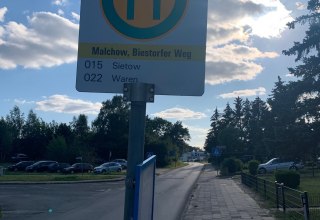 &copy; Manja Bernhardi