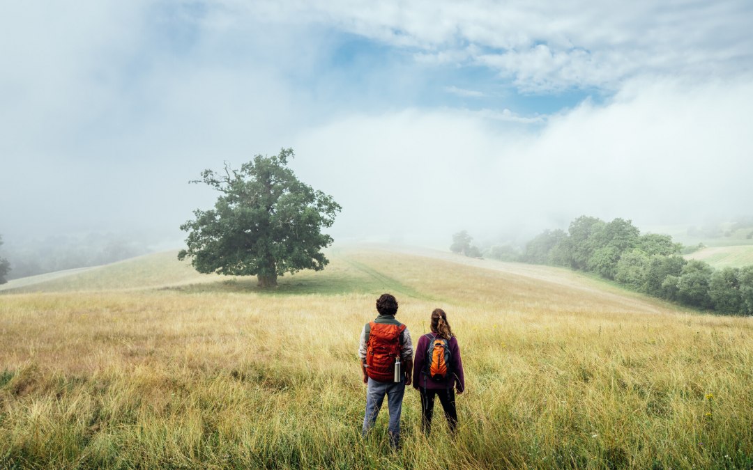 Wandern auf dem Naturparkweg durch die Landschaft der Mecklenburgischen Seenplatte beim Rötelberg // © MV-T/Gänsicke Wandern auf dem Naturparkweg durch die Landschaft der Mecklenburgischen Seenplatte beim Rötelberg // © MV-T/Gänsicke