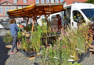 &copy; Waren (M&uuml;ritz) Kur- und Tourismus GmbH