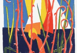 © W. Schröder © W. Schröder