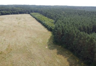 &copy; Landesforst MV