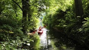 Dschungeltour: Ein lauschig grüner Kanal verbindet den Feldberger Haussee und den Breiten Luzin // © Christiane Würtenberger Dschungeltour: Ein lauschig grüner Kanal verbindet den Feldberger Haussee und den Breiten Luzin // © Christiane Würtenberger