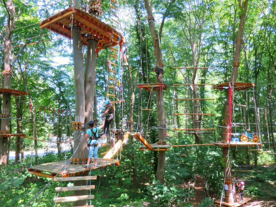 &Uuml;bersicht Kletterwald, &copy; Michael Schicha