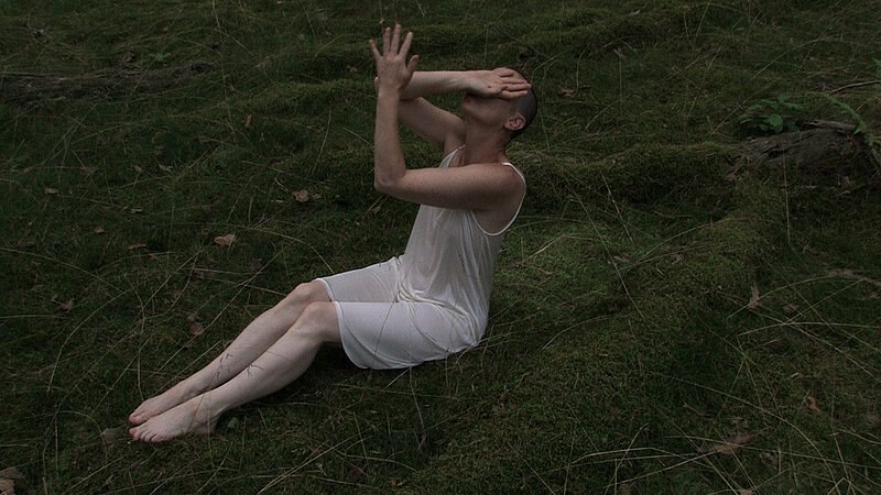 &copy; Willehald Grafenhorst