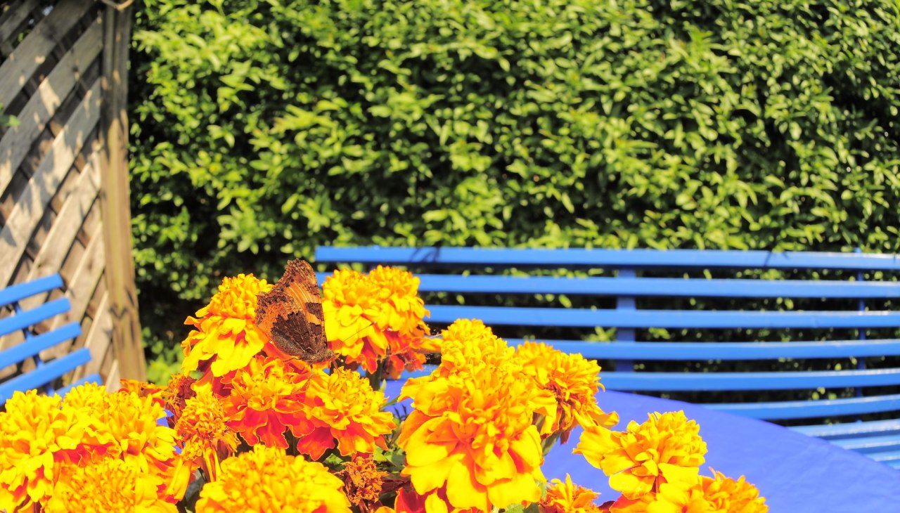 Sitzecke im Garten vor dem Ferienzimmer, © Kleines Fischerhaus