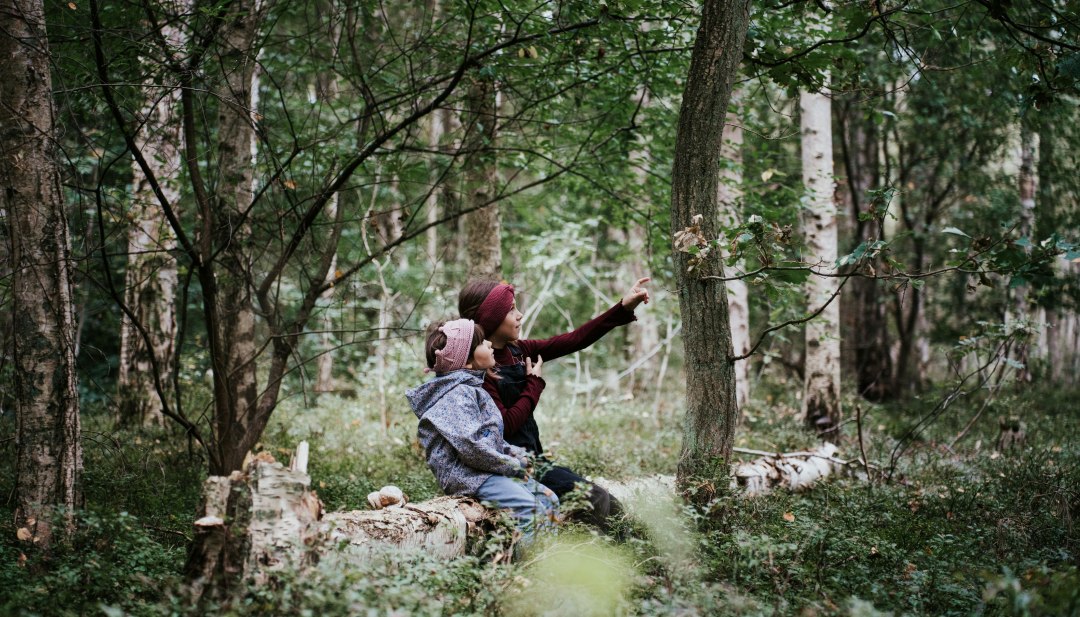 Zwei Kinder und eine Frau sitzen auf einem Baumstamm im Wald in Mecklenburg-Vorpommern und beobachten aufmerksam die Natur.