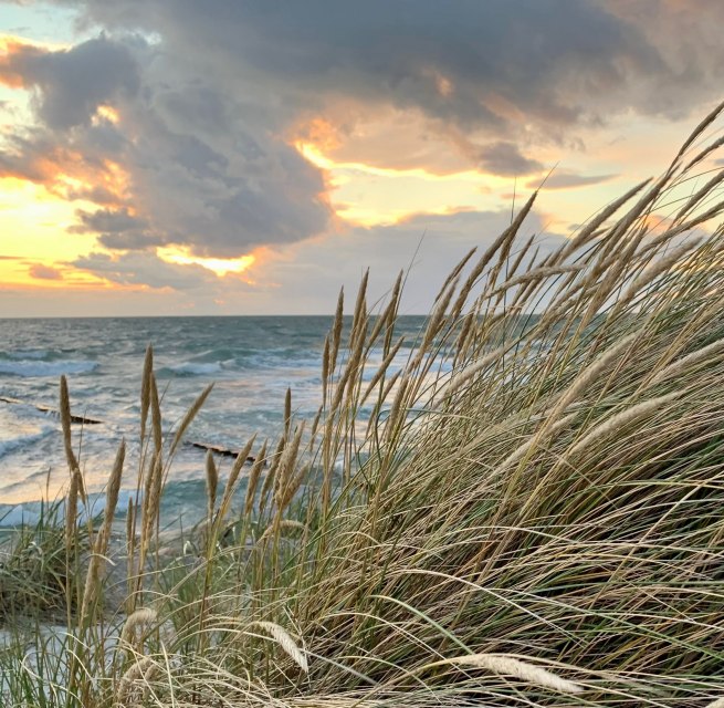 © Nationalparkamt/K.Bärwald