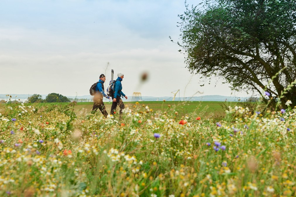 BALTIC x HORIZON HIKE, © Binzer Bucht Tourismus BALTIC x HORIZON HIKE, © Binzer Bucht Tourismus