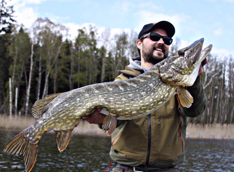 Wunderschön gezeichneter Hecht aus Mecklenburg-Vorpommern, © Steven Carle Wunderschön gezeichneter Hecht aus Mecklenburg-Vorpommern, © Steven Carle