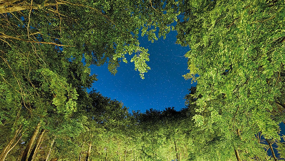 © Kurverwaltung Sellin © Kurverwaltung Sellin