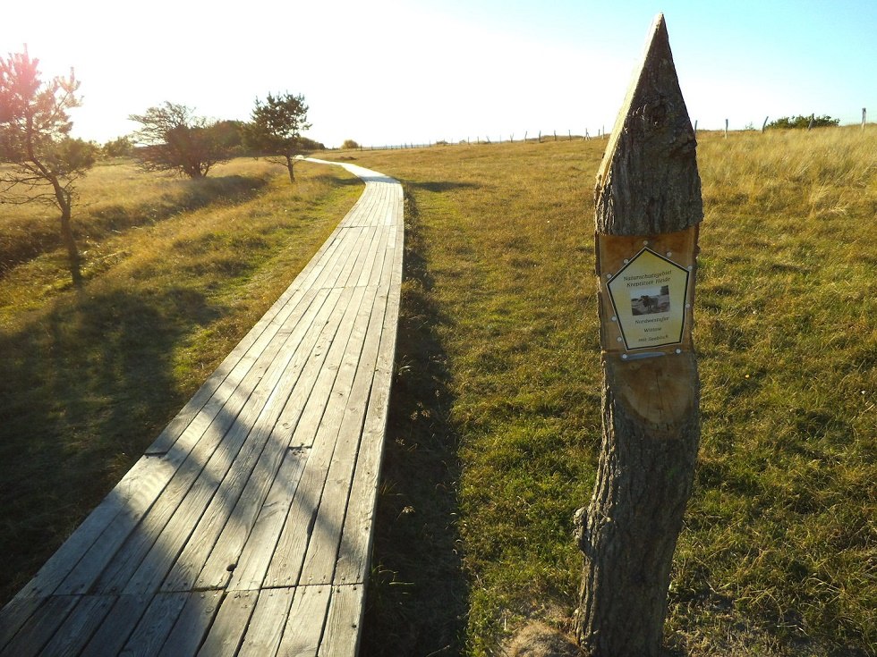 Naturschutzgebiet Nordwestufer Wittow und Kreptitzer Heide // © Tourismuszentrale Rügen Naturschutzgebiet Nordwestufer Wittow und Kreptitzer Heide // © Tourismuszentrale Rügen